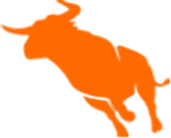 Bullhorn